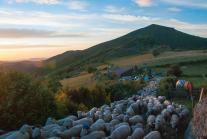 image 12062016DSC_9605.jpg (0.1MB)